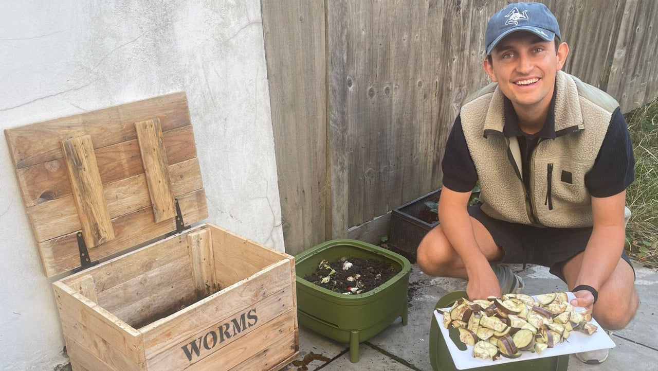 Wormsworth #1 - Why Wormly?