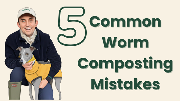 Thumbnail saying 5 common worm composting mistakes
